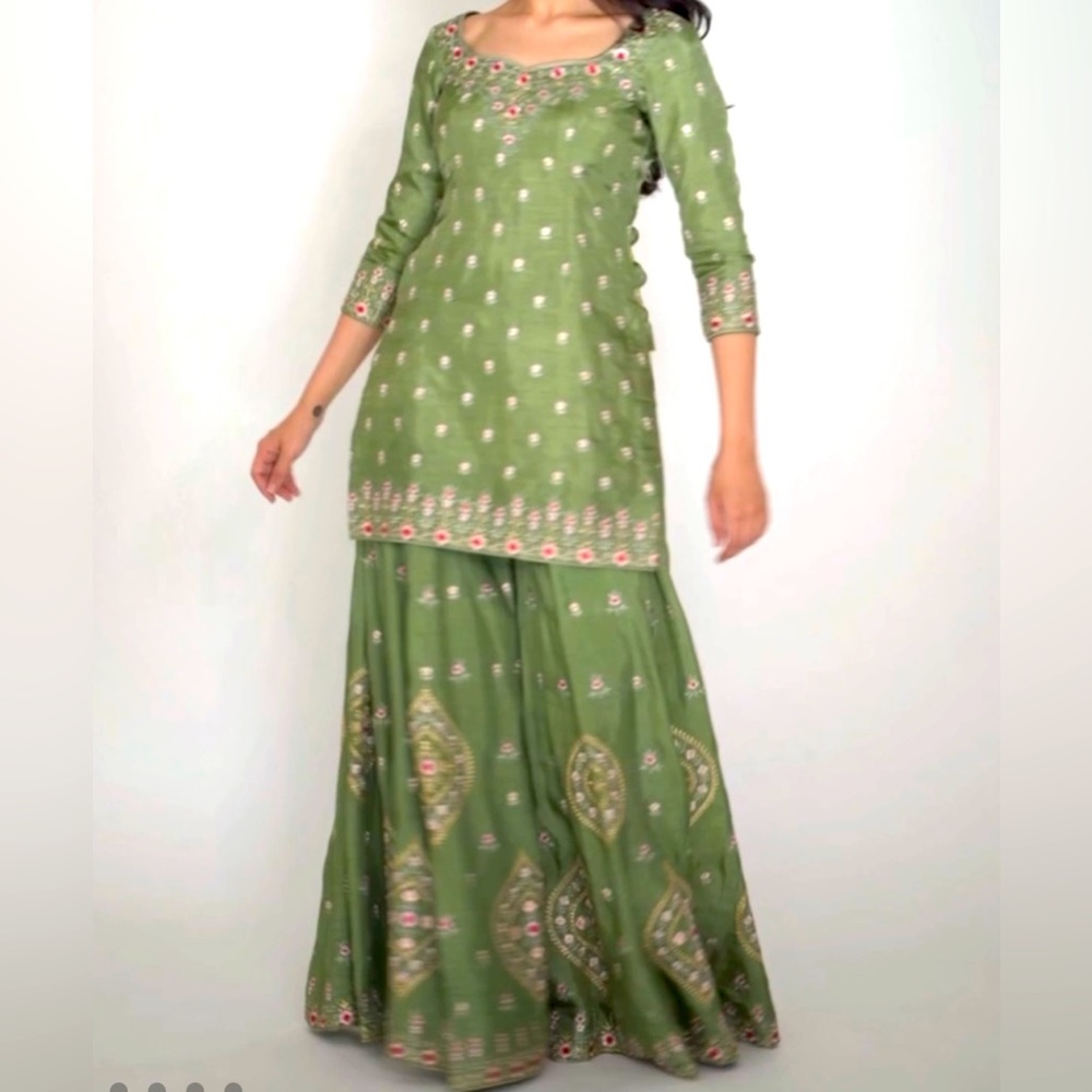 Beautiful Indian/Pakistani dress